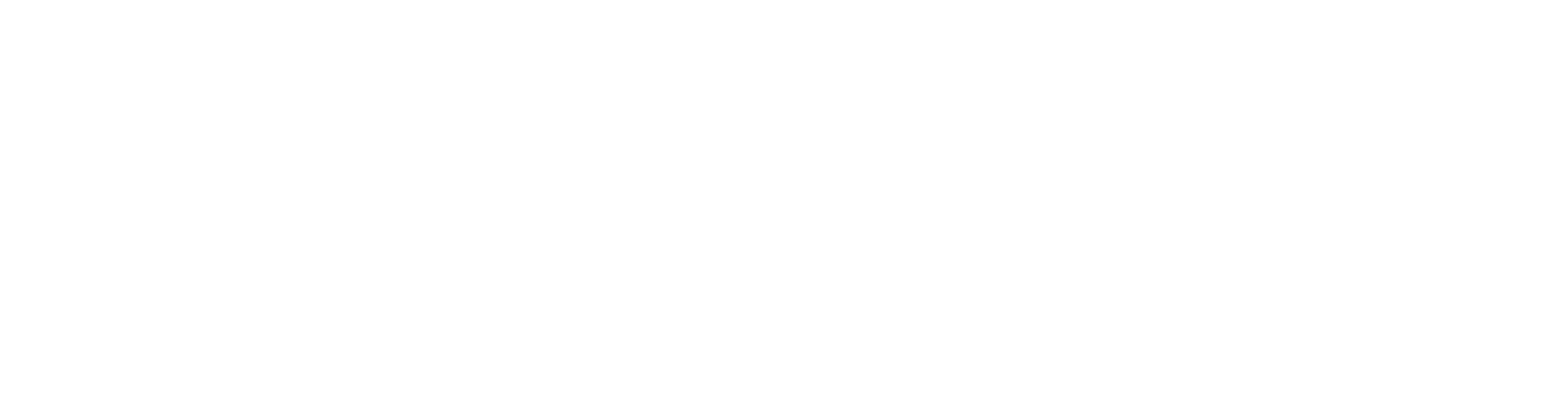 Everest Group
